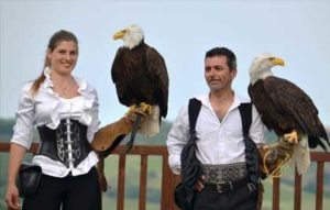 Falconeria Gradara